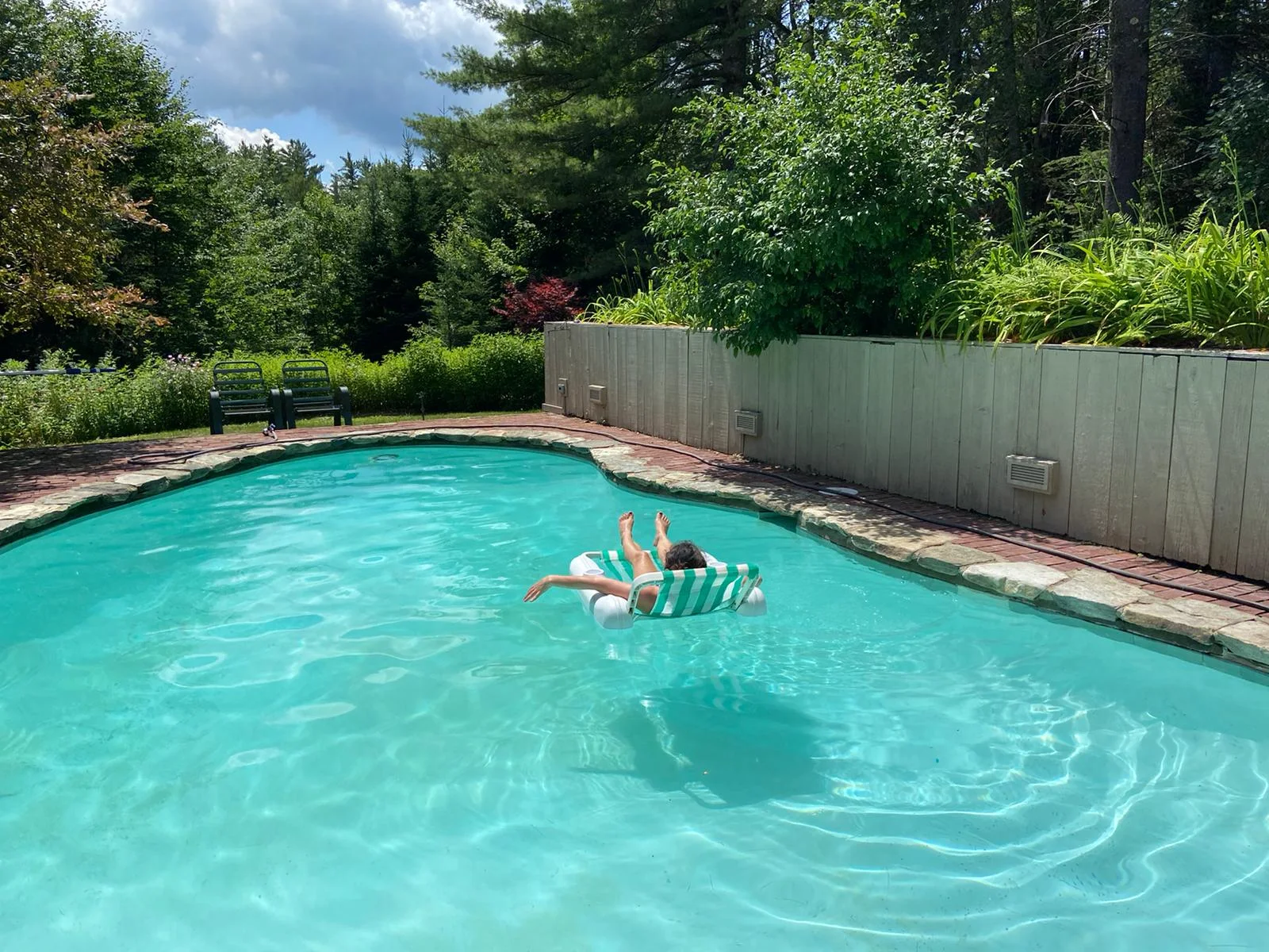The heated outdoor pool framed by garden and pines