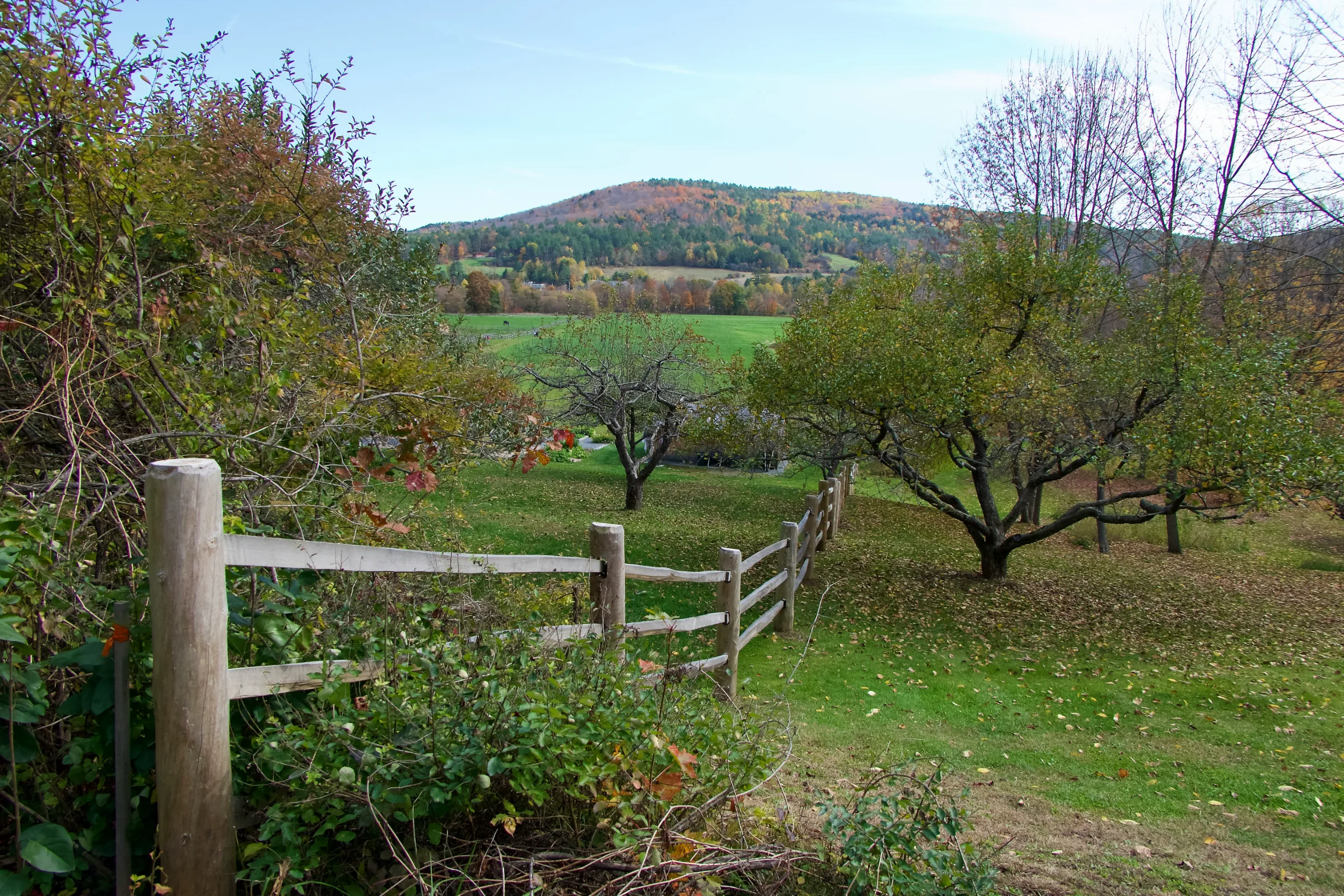A split-rail fence and apple trees looking out over a Vermont hillside in autumn
