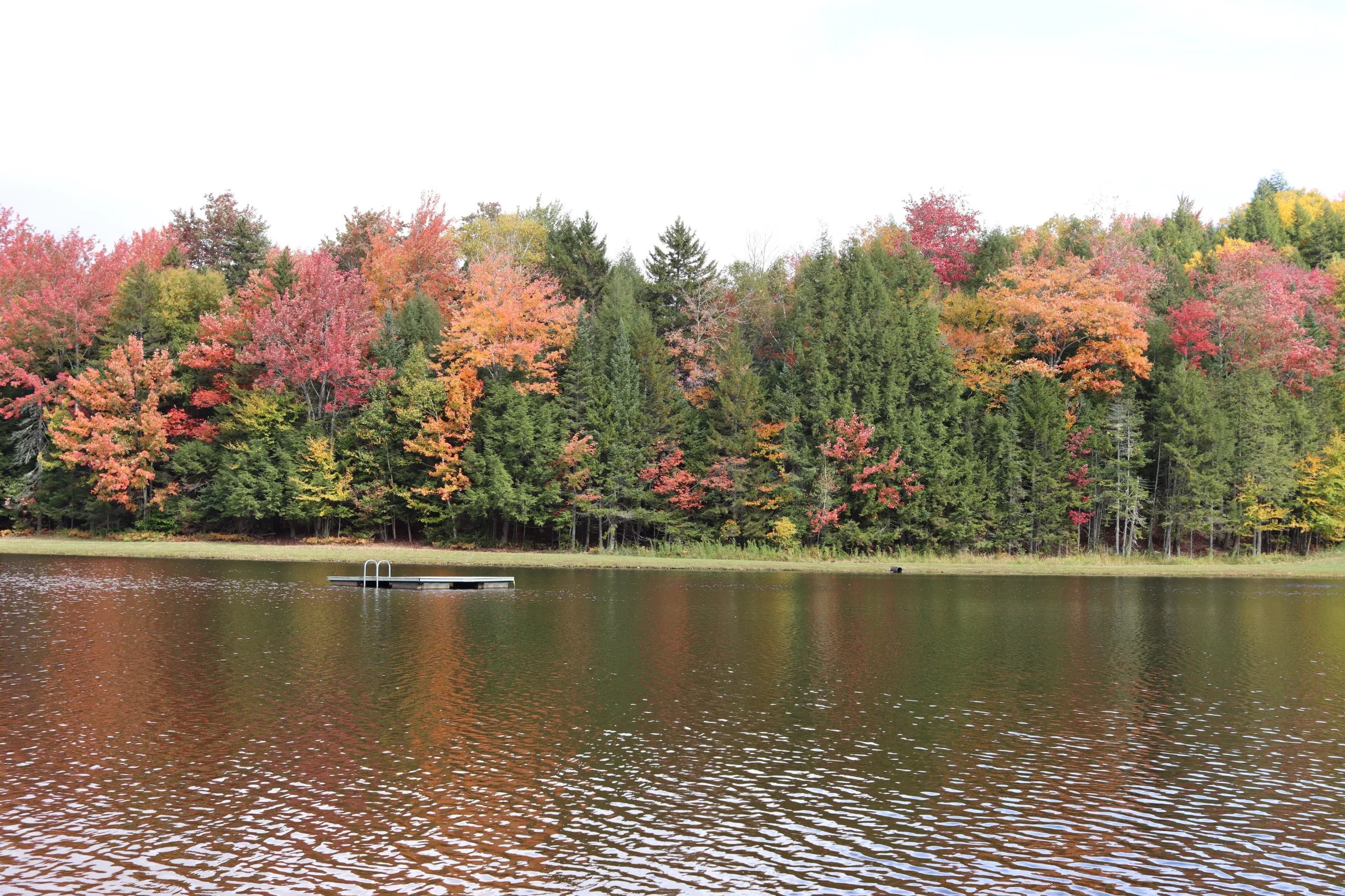 A pond and swimming dock ringed by autumn trees