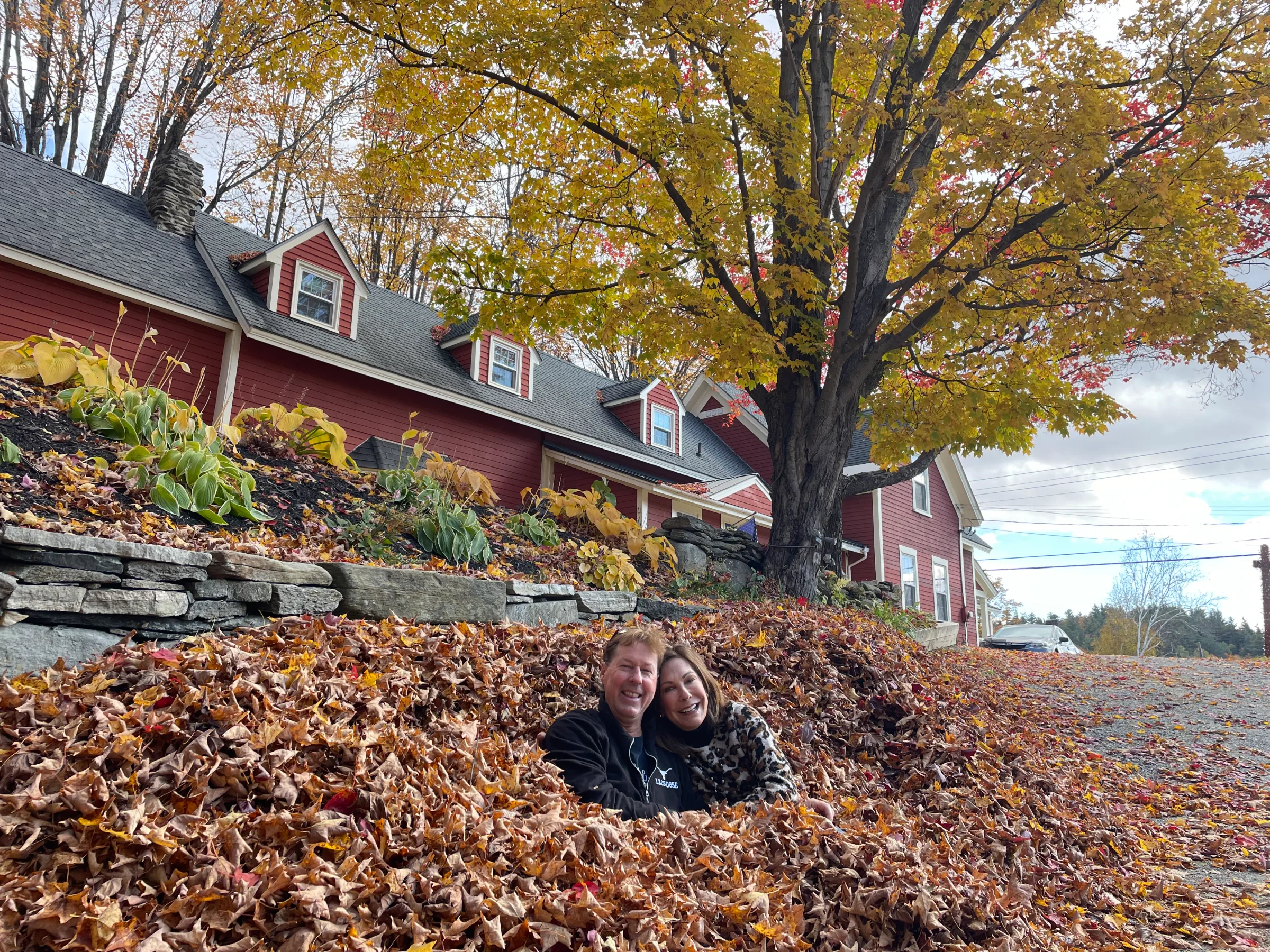 A red Vermont farmhouse beneath a golden maple in fall