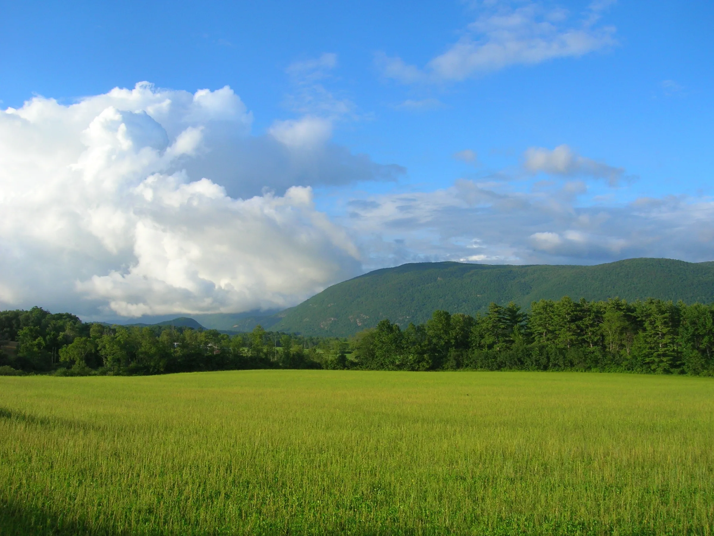 A green meadow below the forested ridgeline of the Green Mountains