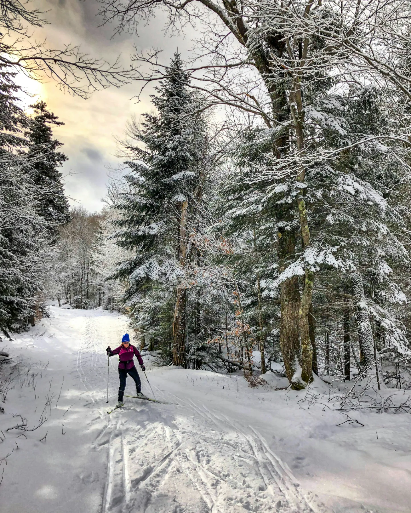 A cross-country skier on a groomed trail through snowy Vermont woods