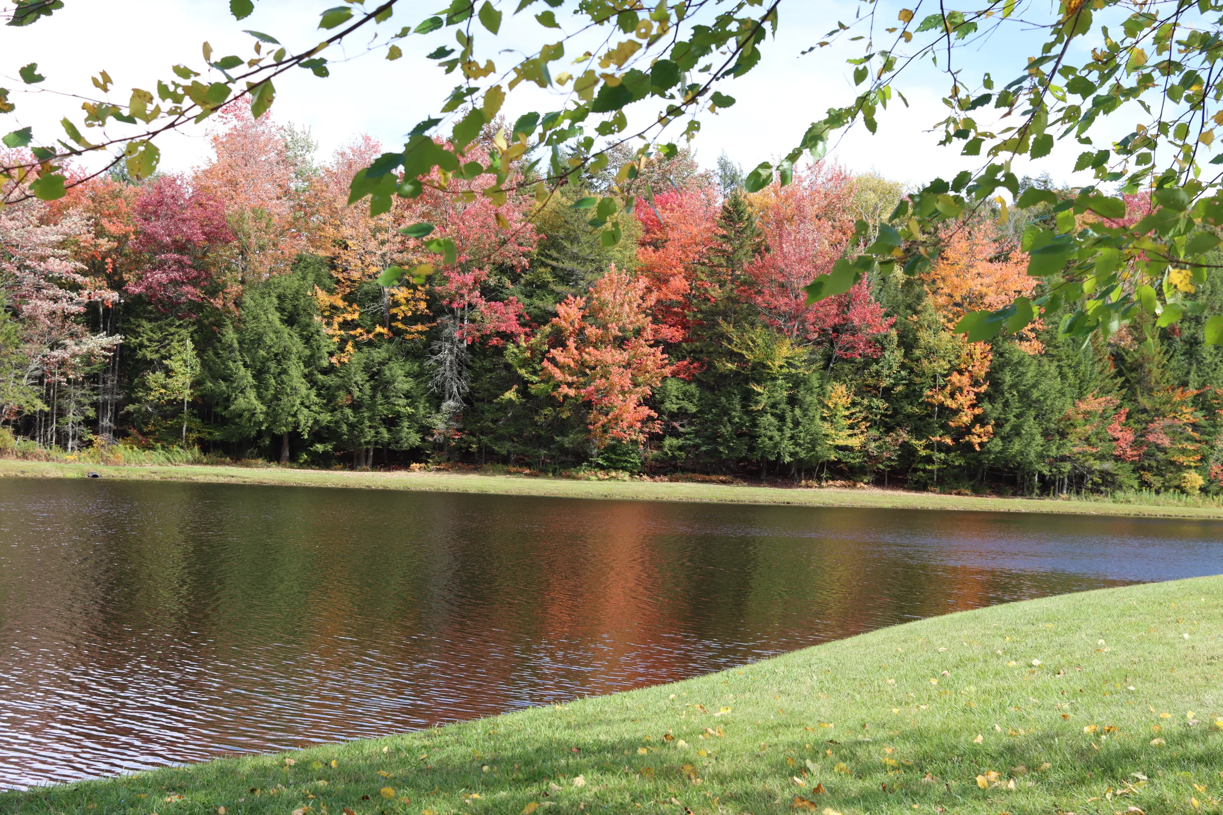 Autumn foliage reflected in the pond by the chalet