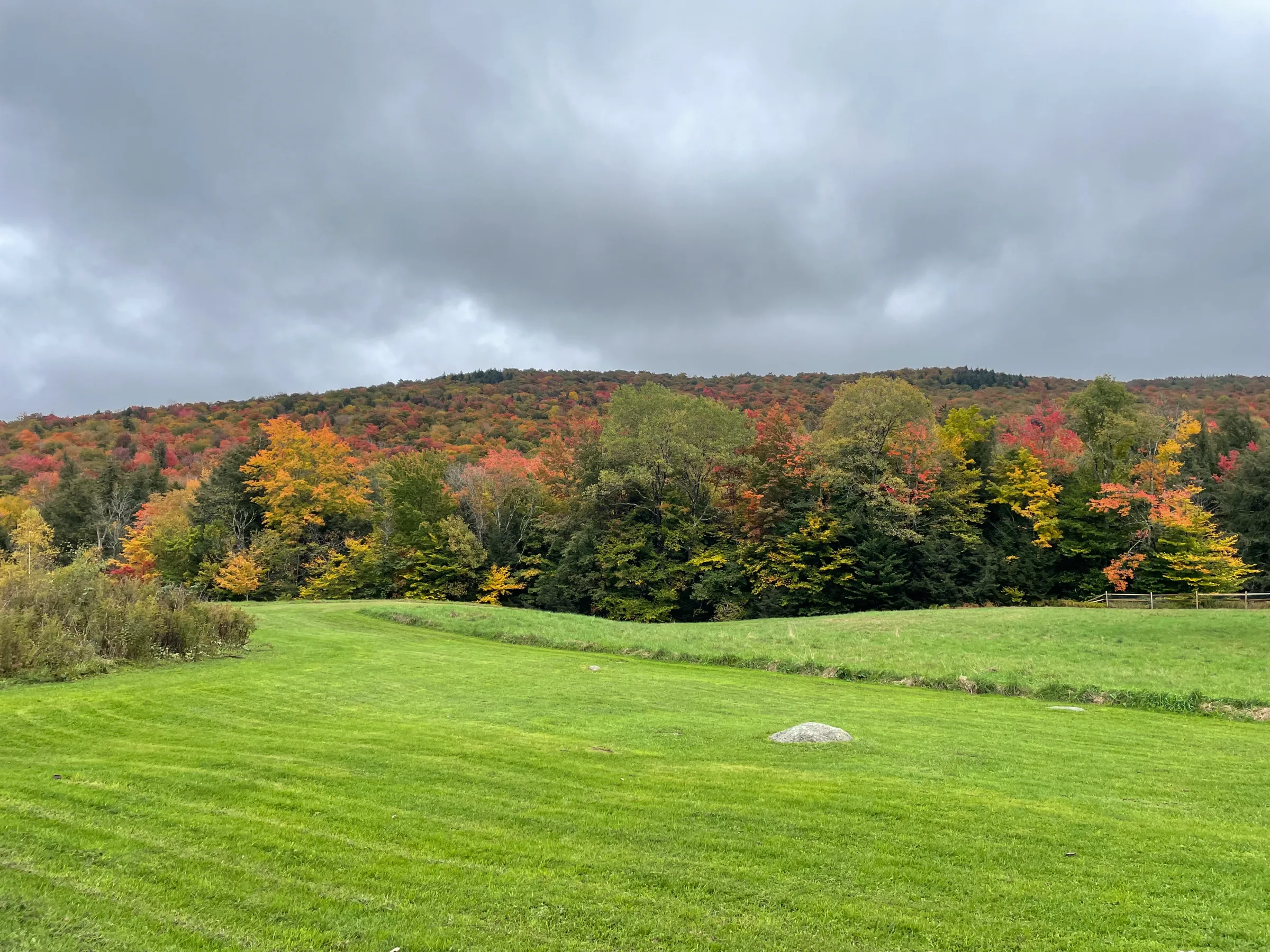 A foliage hillside above the meadow near the chalet