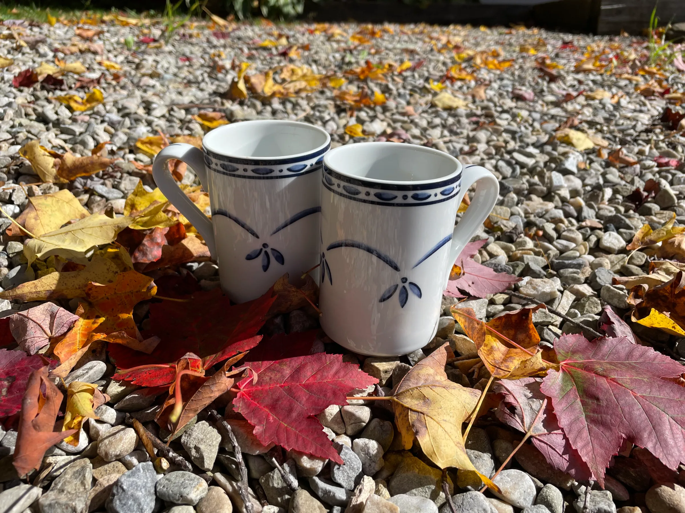Two mugs among fallen autumn leaves in the chalet's garden