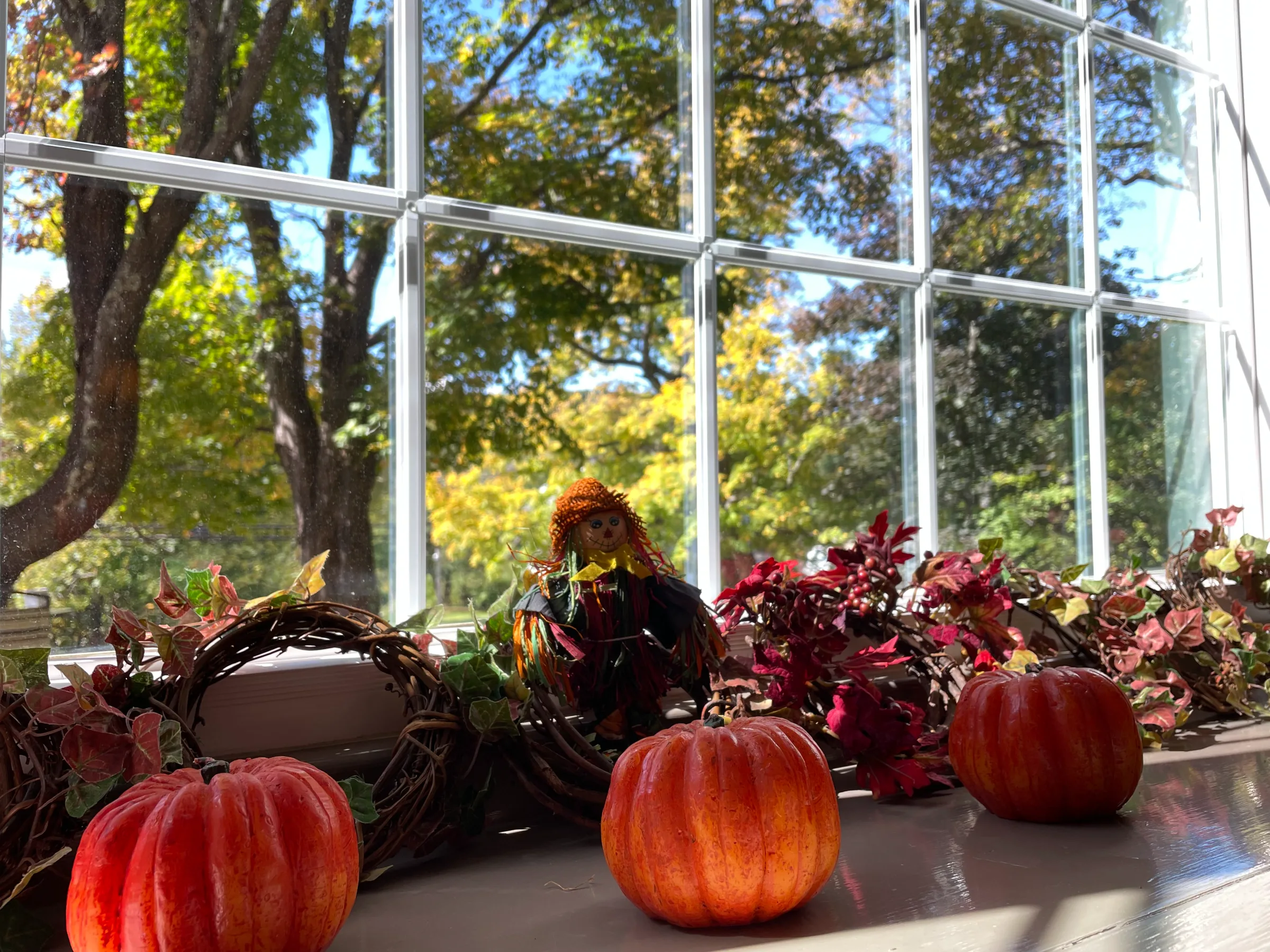 Pumpkins and a scarecrow on the windowsill, foliage beyond