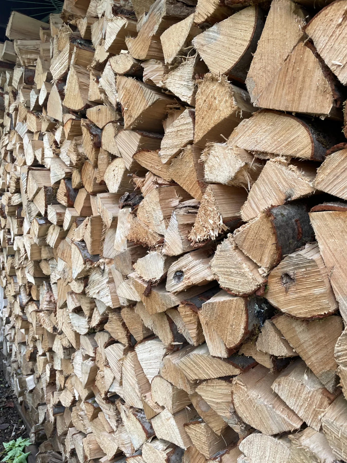 Split firewood, stacked and ready