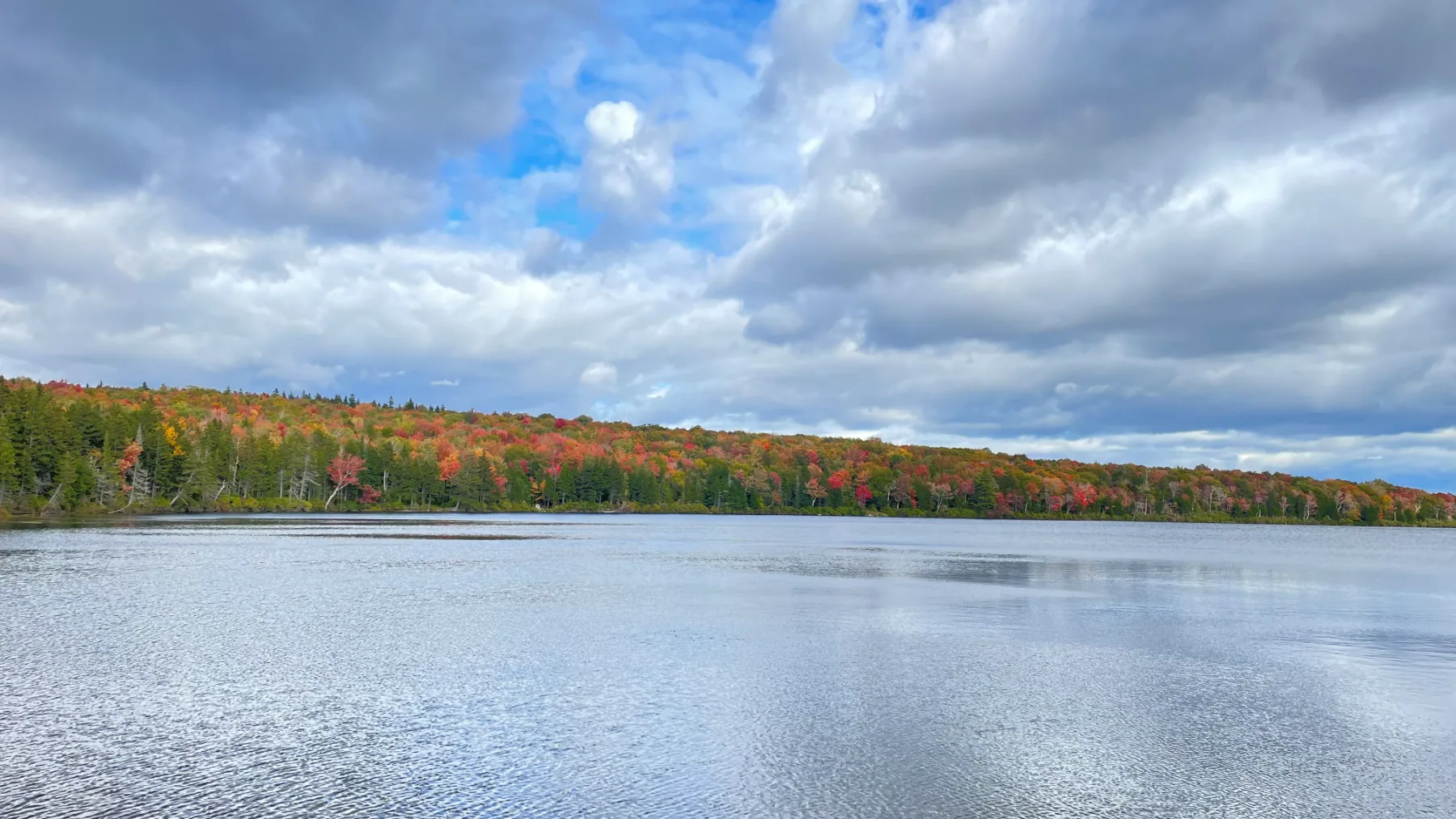 Autumn foliage across the water